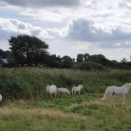 Luxury Pool Retreat In - By Traum Hébergement de vacances