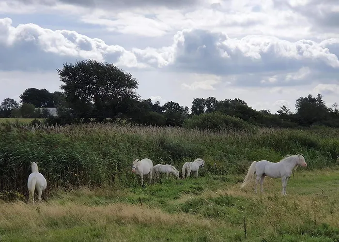 Luxury Pool Retreat In - By Traum Сasa de vacaciones